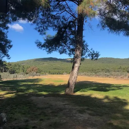 Vilă Regnum Golfvilla